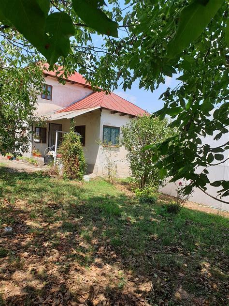 apartamente de vanzare turceni|Vanzari imobiliare Turceni Gorj • Anunturi gratuite